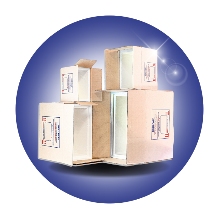 Jun Chain Box PUR Containers